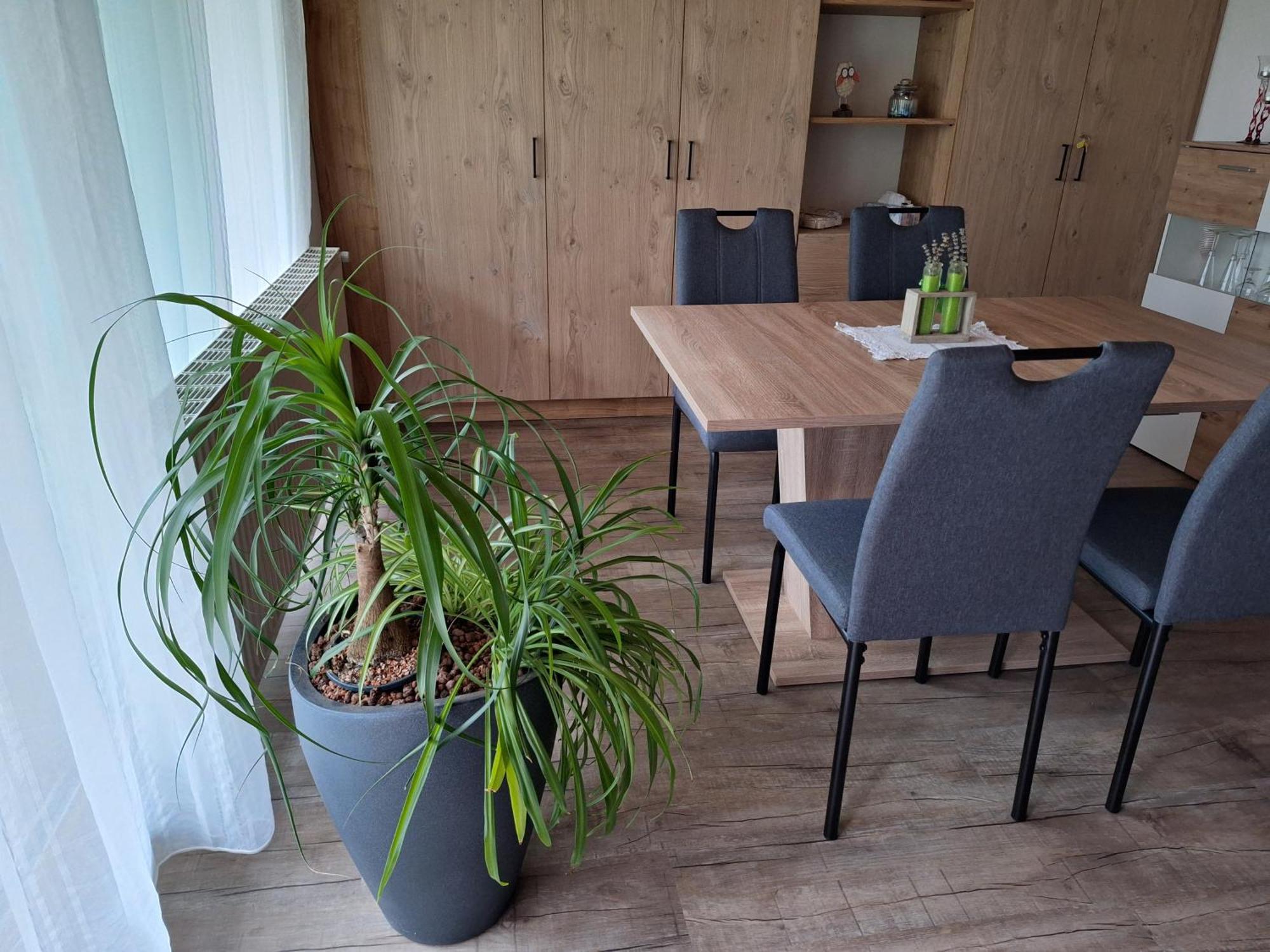 Apartment Eva Заутенс Экстерьер фото